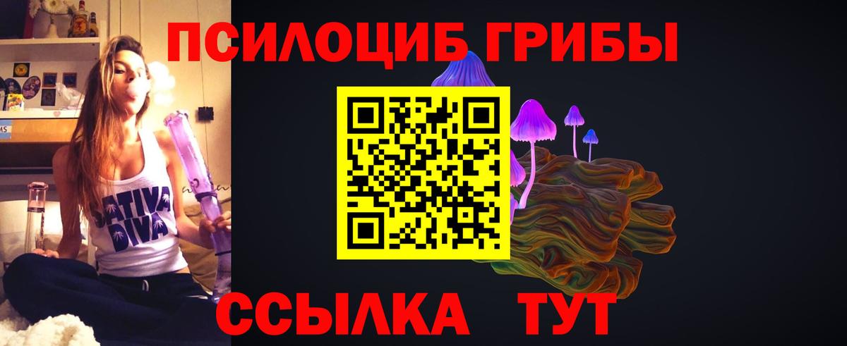 Псилоцибиновые грибы Cubensis Верхняя Салда